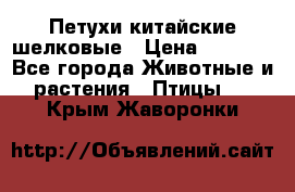 Петухи китайские шелковые › Цена ­ 1 000 - Все города Животные и растения » Птицы   . Крым,Жаворонки